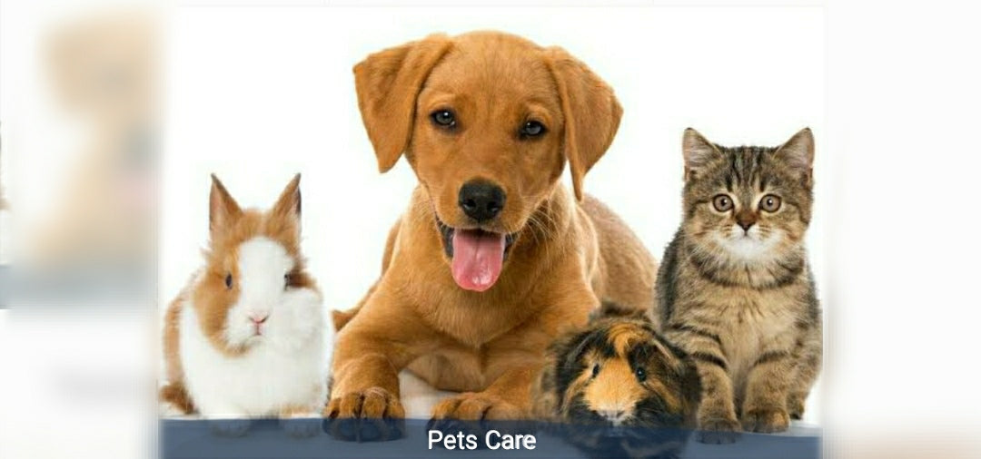 Pets Care