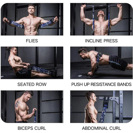 FlexFit Chest Builder